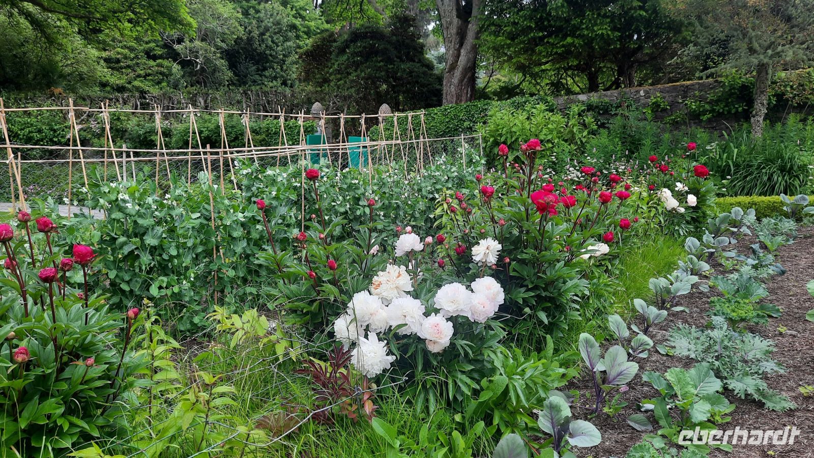 021 – Irland, Glenveagh Nationalpark