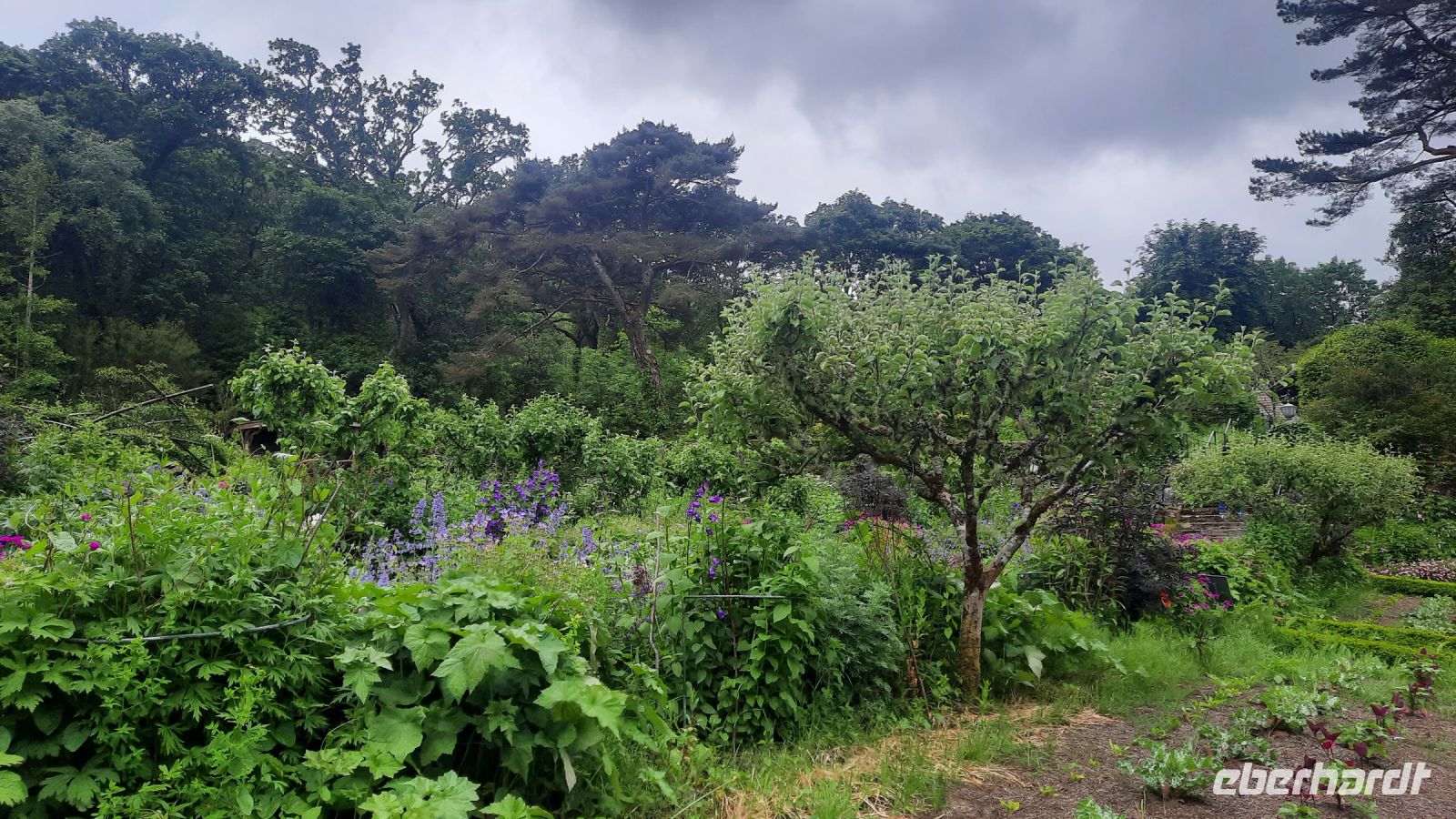 023 – Irland, Glenveagh Nationalpark