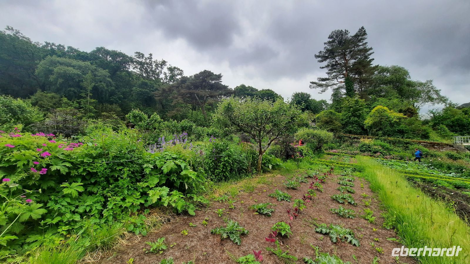 024 – Irland, Glenveagh Nationalpark