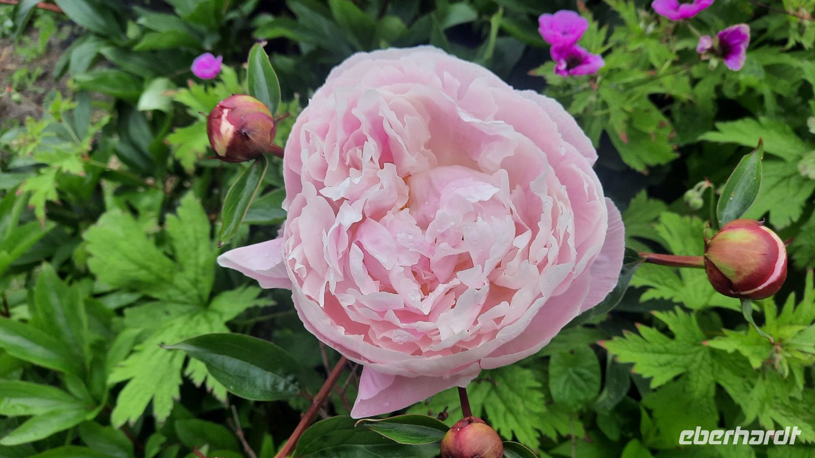 025 – Irland, Glenveagh Nationalpark