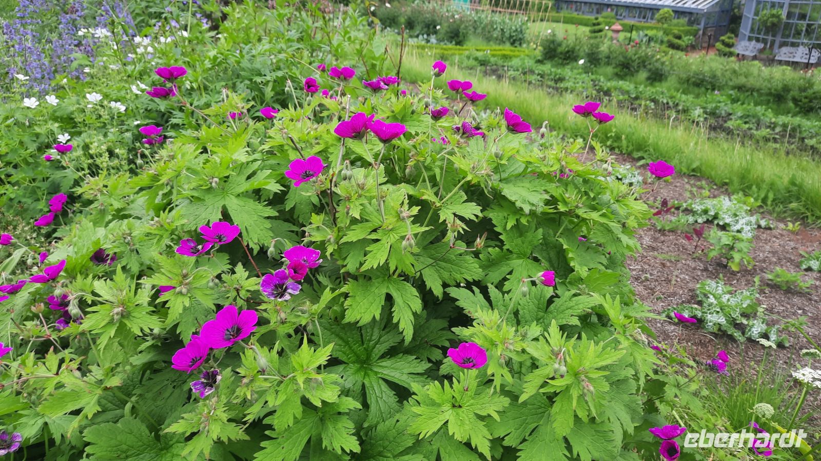 027 – Irland, Glenveagh Nationalpark