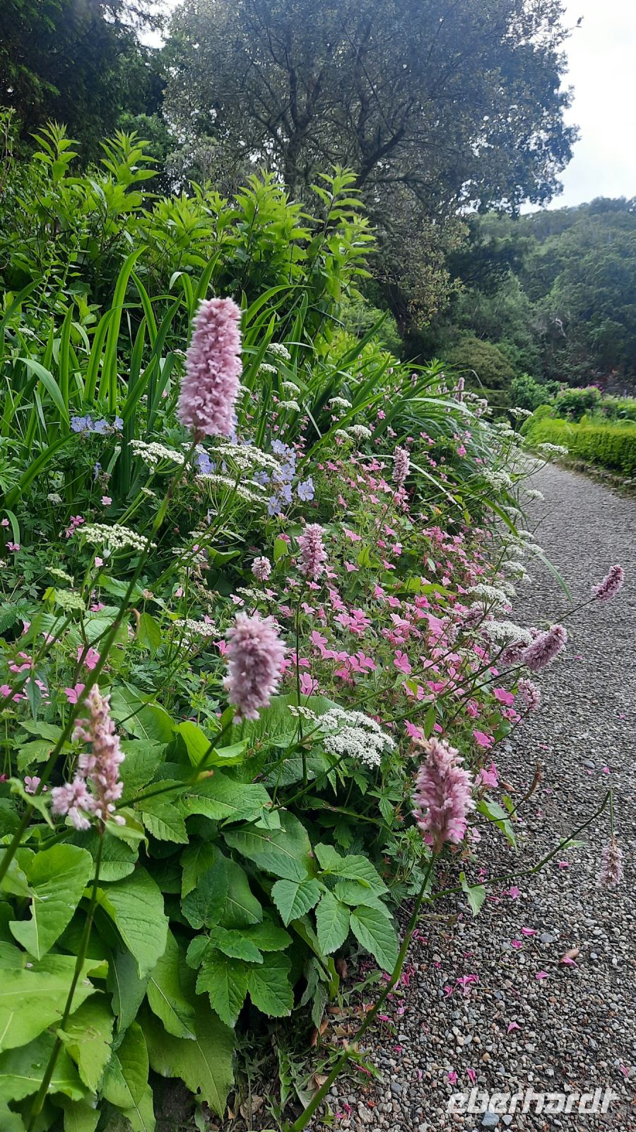 029 – Irland, Glenveagh Nationalpark