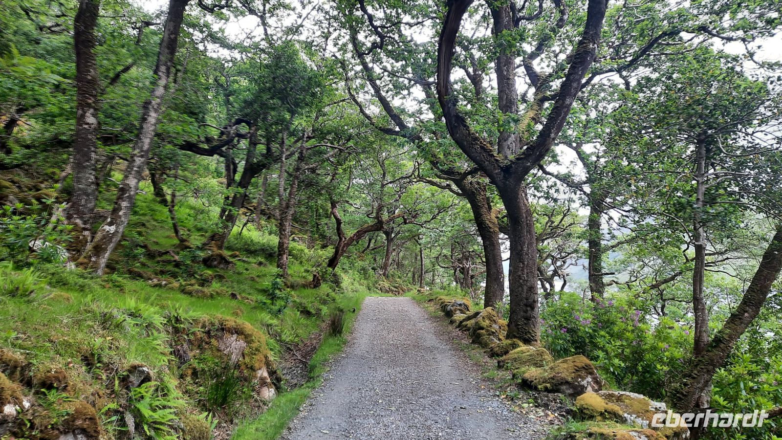 030 – Irland, Glenveagh Nationalpark