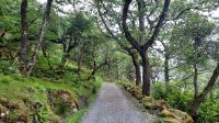 030 – Irland, Glenveagh Nationalpark
