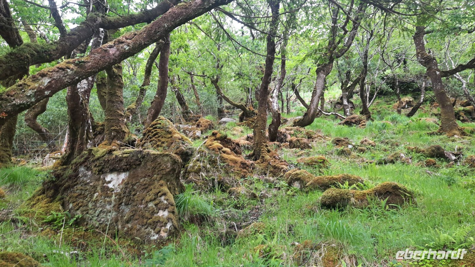 035 – Irland, Glenveagh Nationalpark