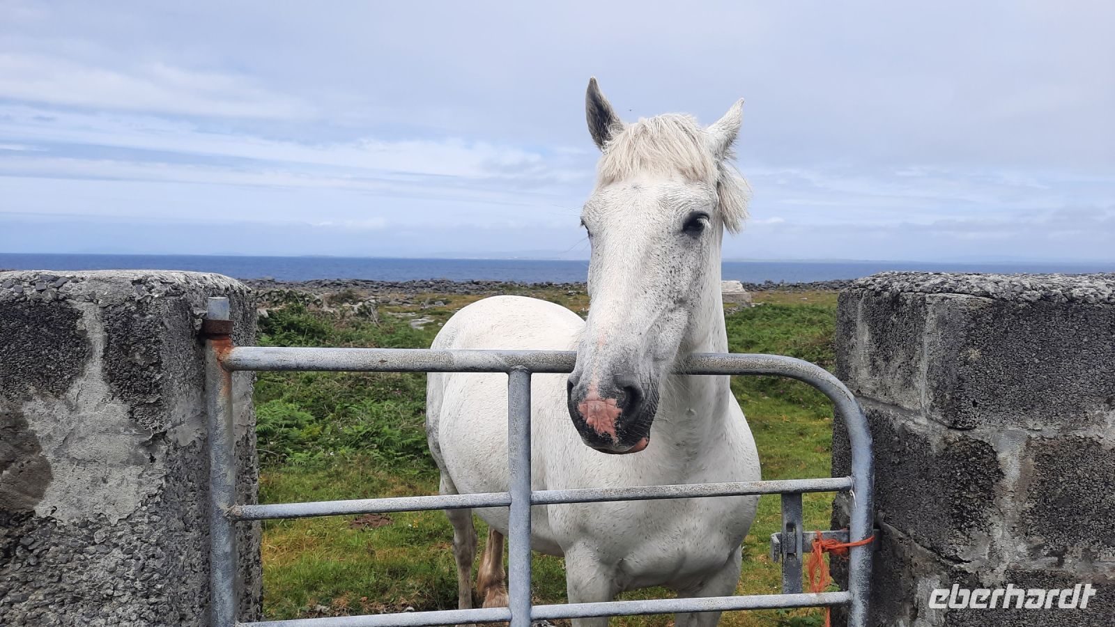 106 – Irland, Aran Insel, Inishmore