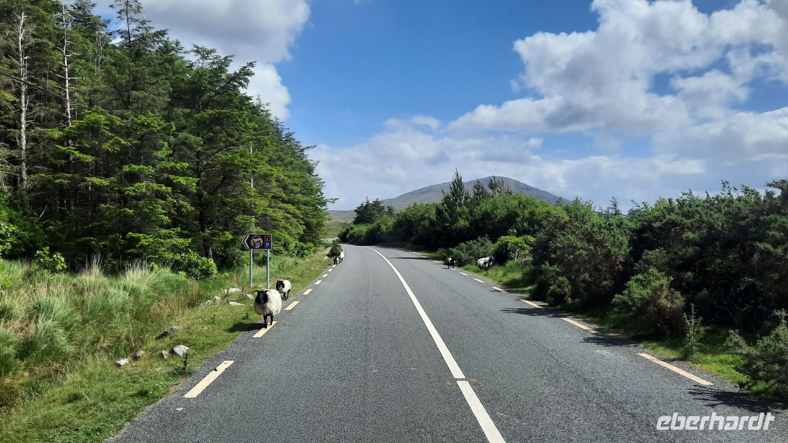 154 – Irland, Connemara