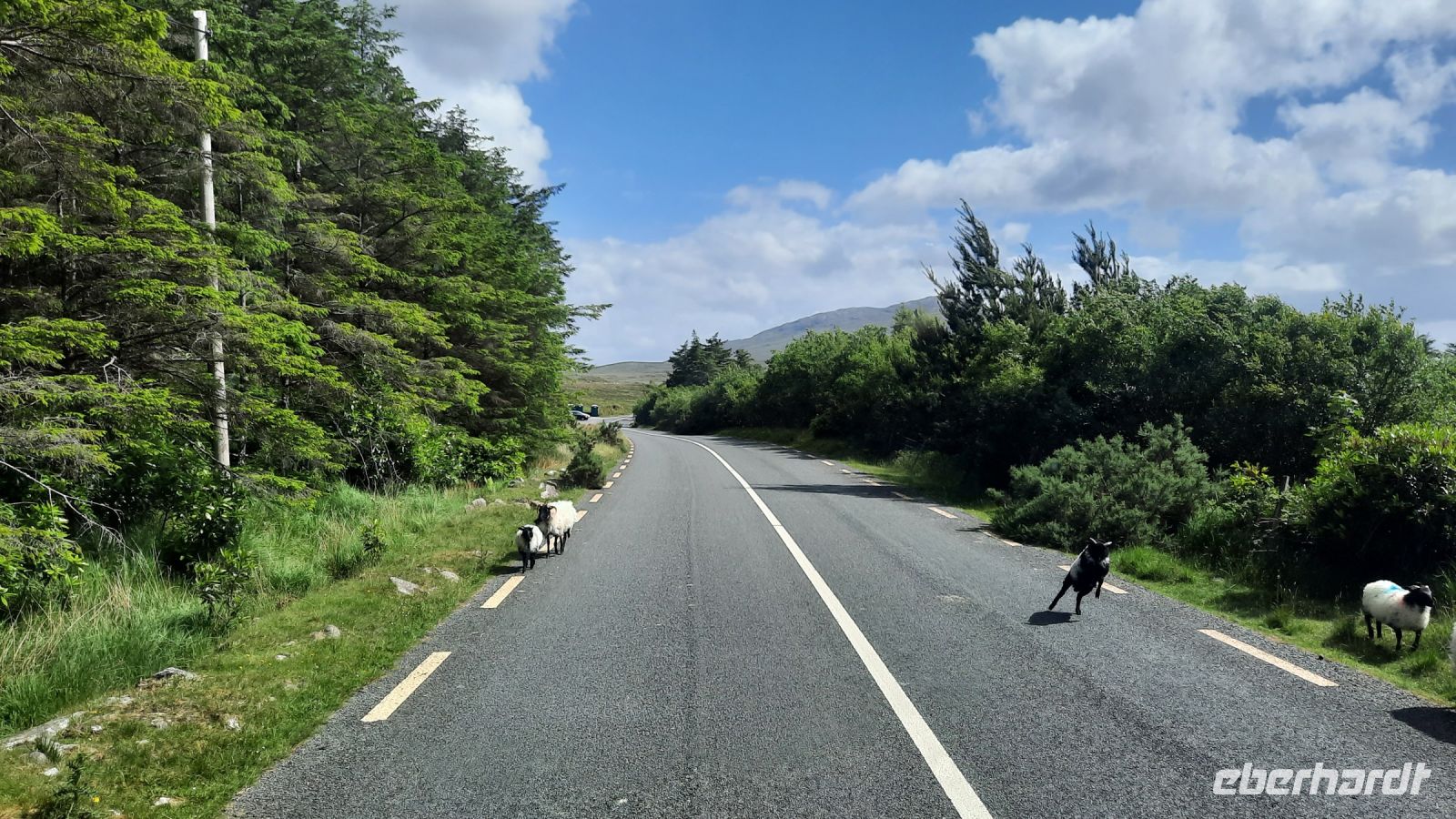155 – Irland, Connemara