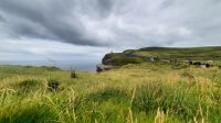 169 – Irland, Cliffs of Moher