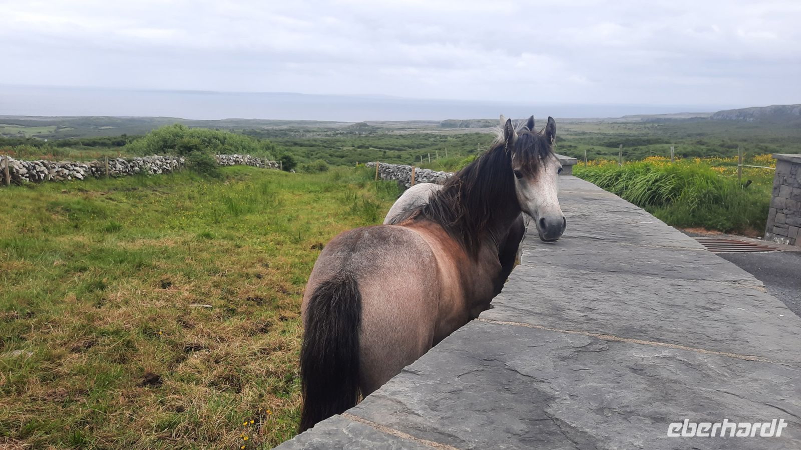 170 – Irland, Burren Wanderung