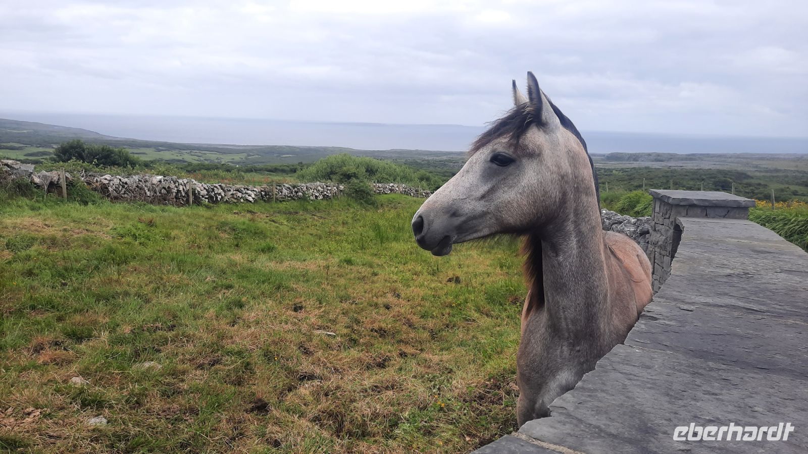 171 – Irland, Burren Wanderung