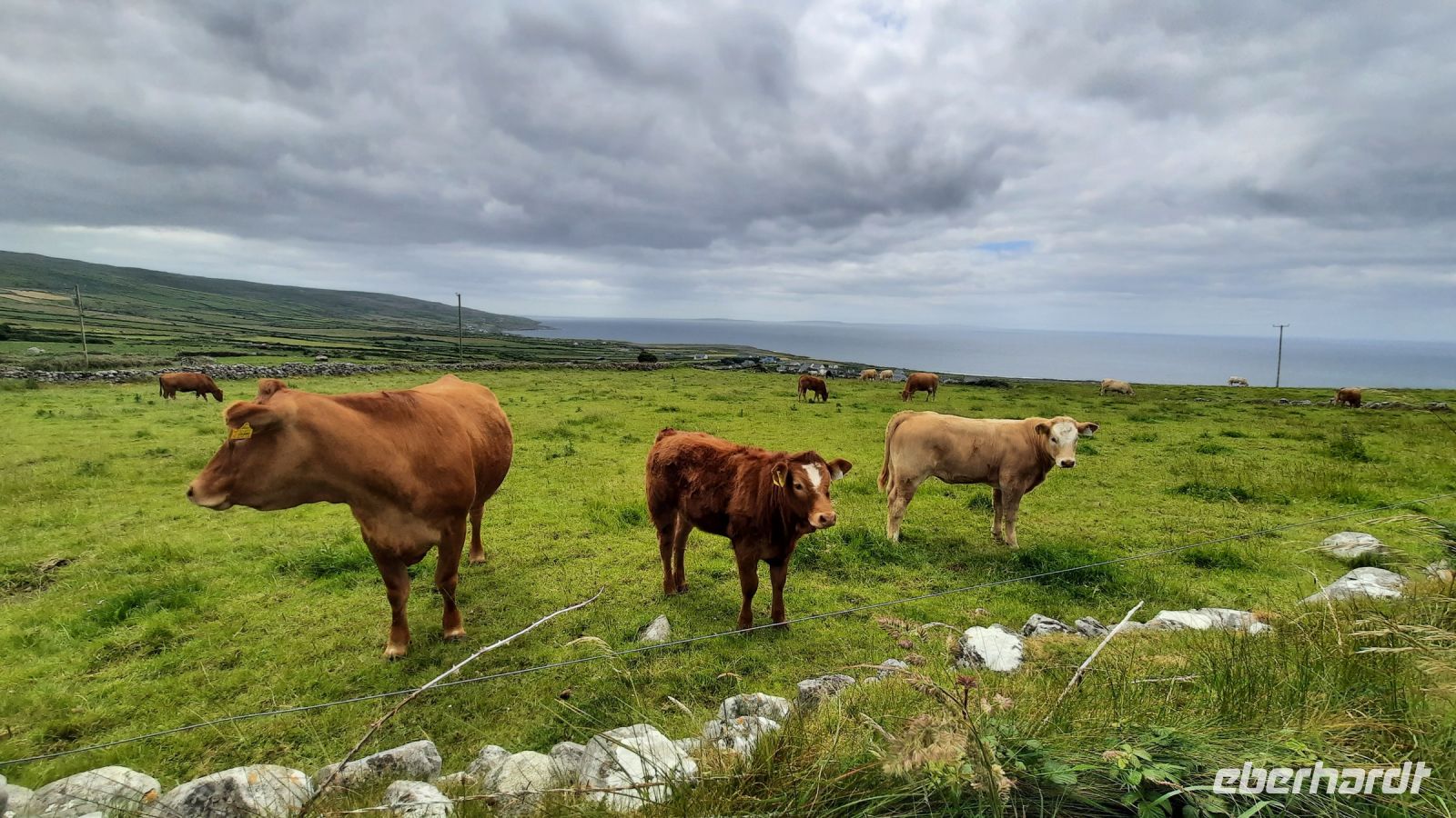 175 – Irland, Burren Wanderung