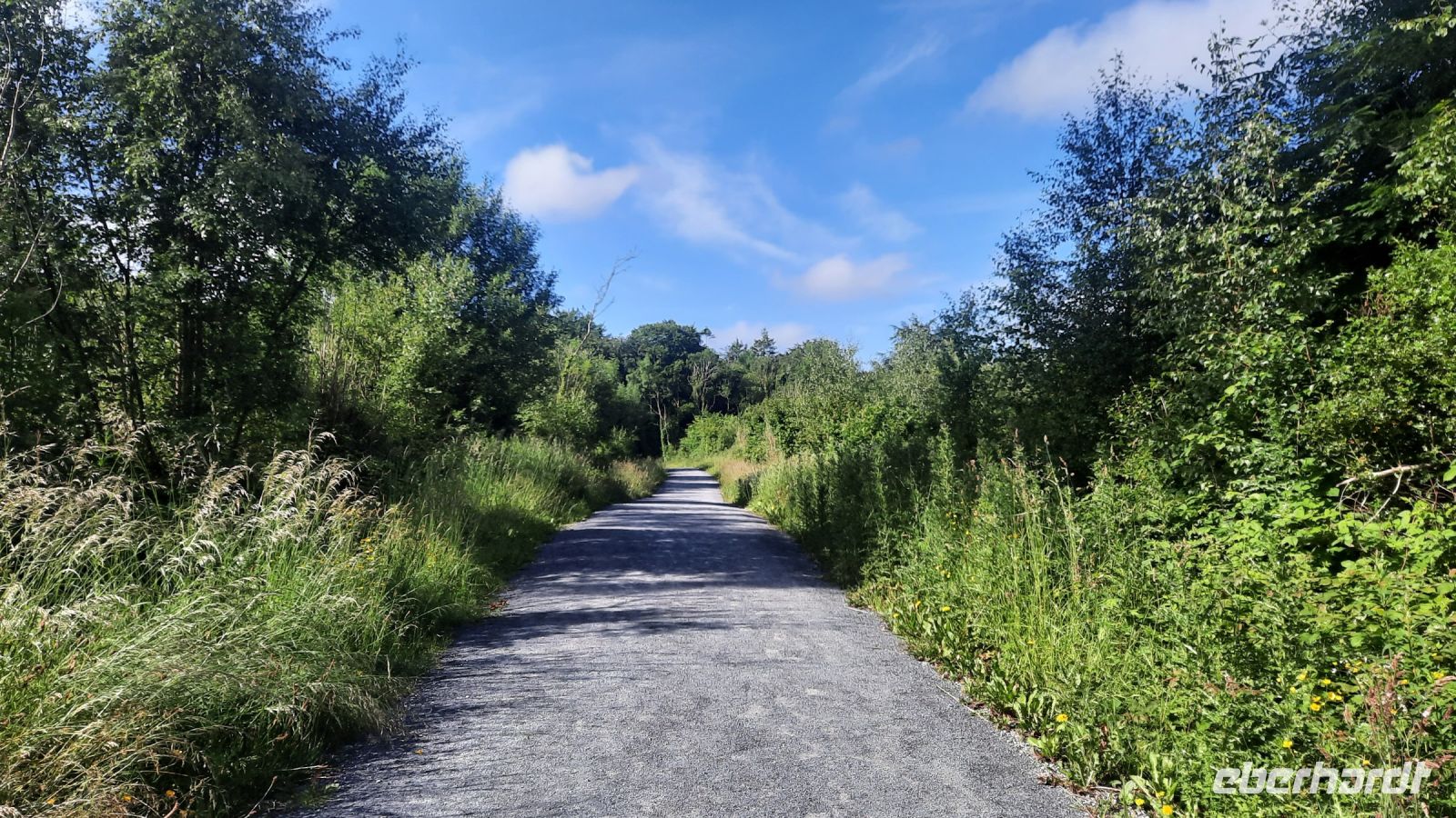 179 – Irland, Gort, Coole Park