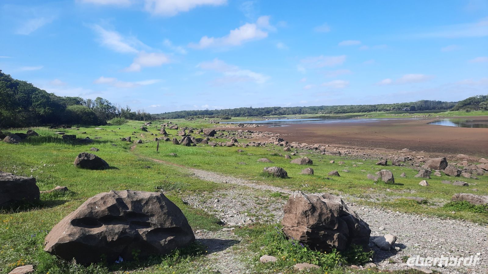 180 – Irland, Gort, Coole Park