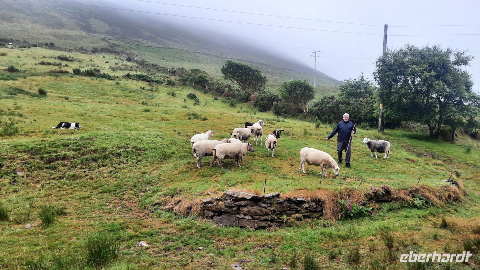 198 – Irland, Ring of Kerry, Schaffarm