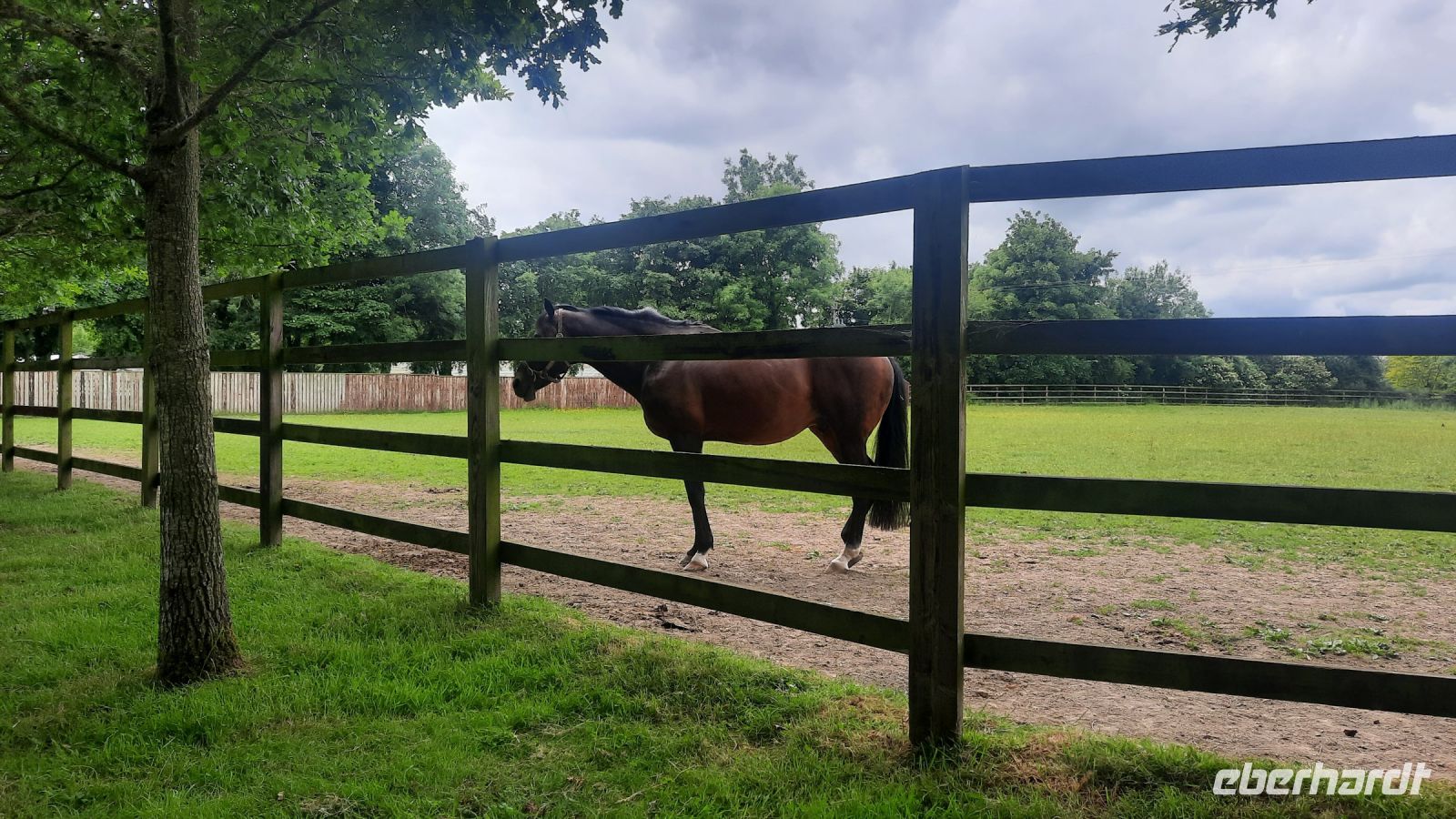 209 – Irland, National Stud, Kildare