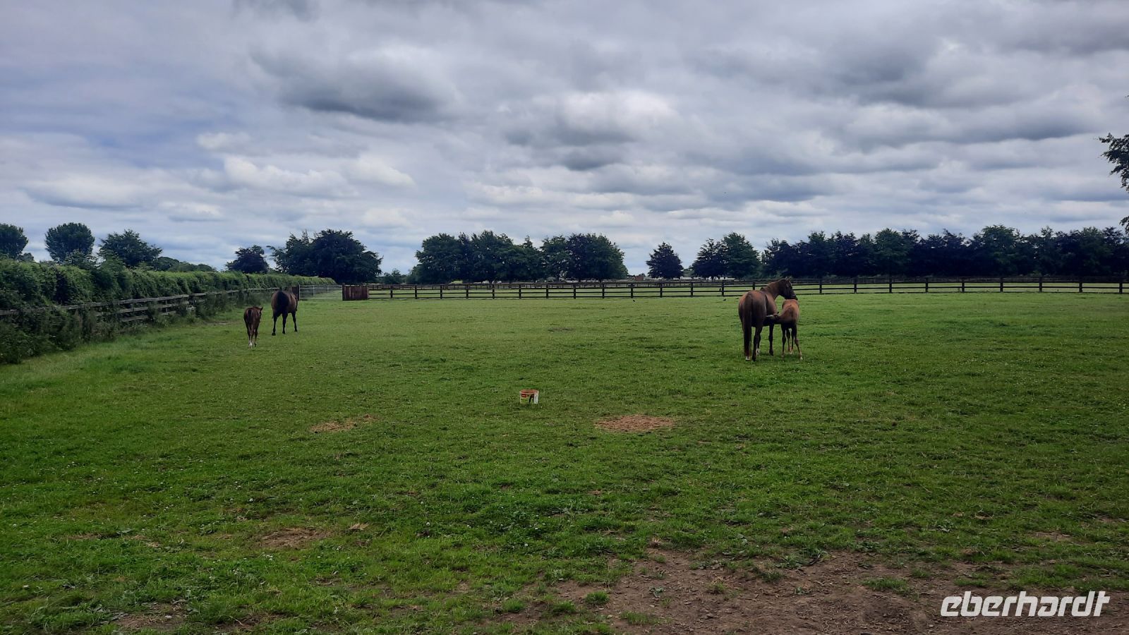212 – Irland, National Stud, Kildare