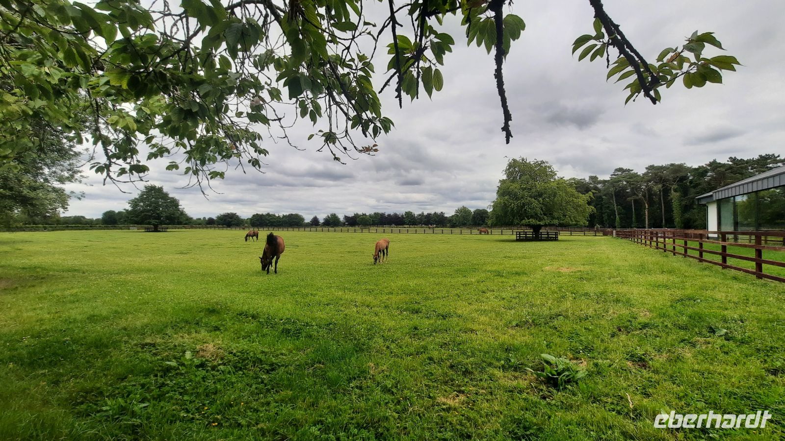 218 – Irland, National Stud, Kildare