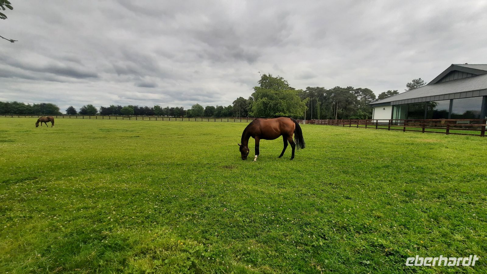 220 – Irland, National Stud, Kildare