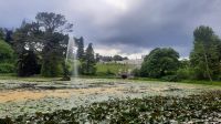 256 – Irland, Powerscourt Gardens