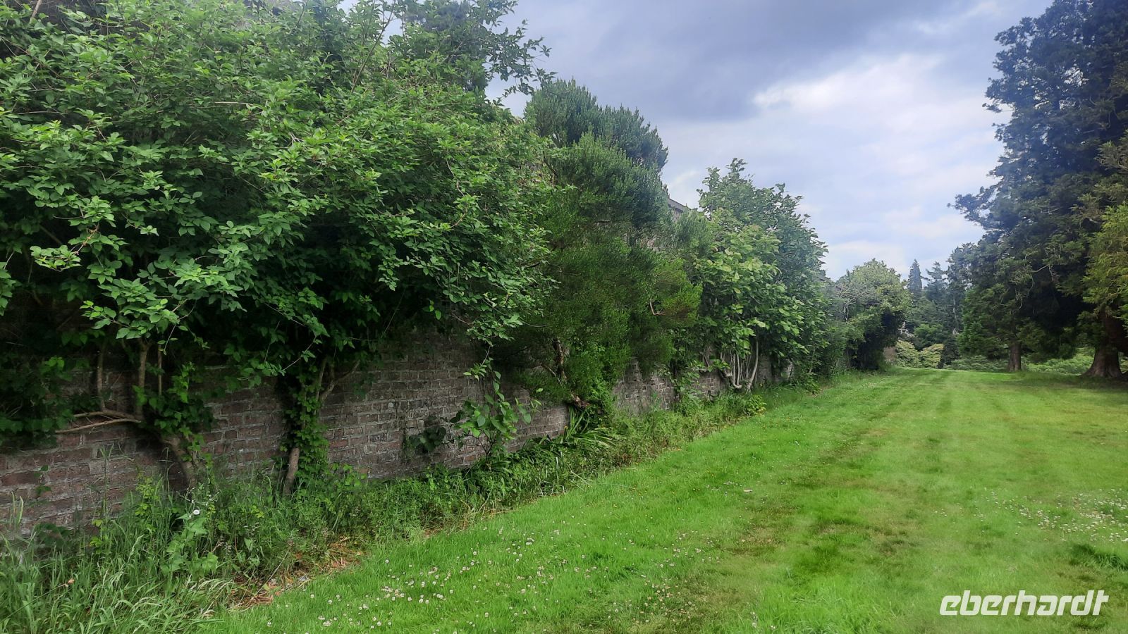 261 – Irland, Powerscourt Gardens