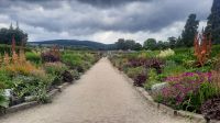 262 – Irland, Powerscourt Gardens