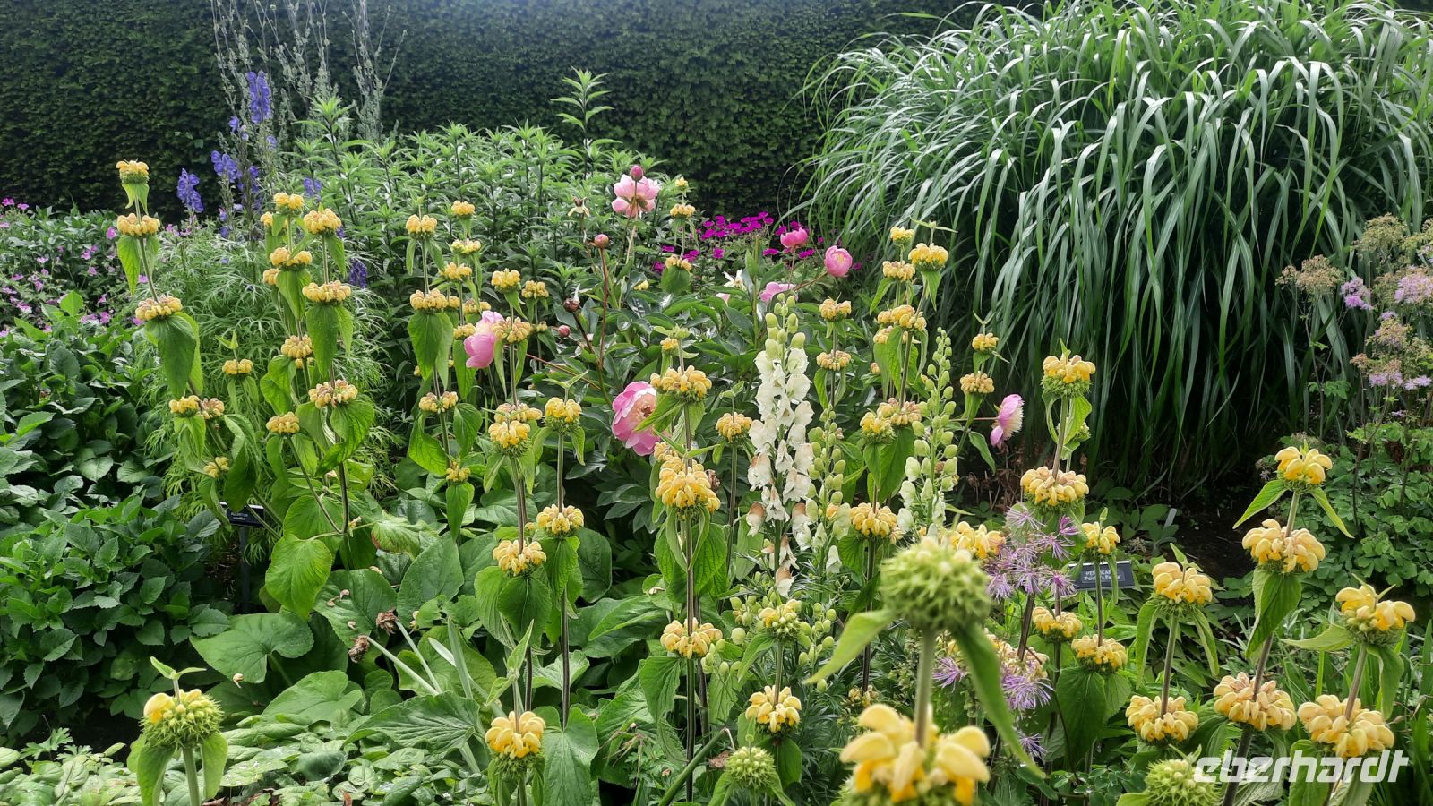 270 – Irland, Powerscourt Gardens