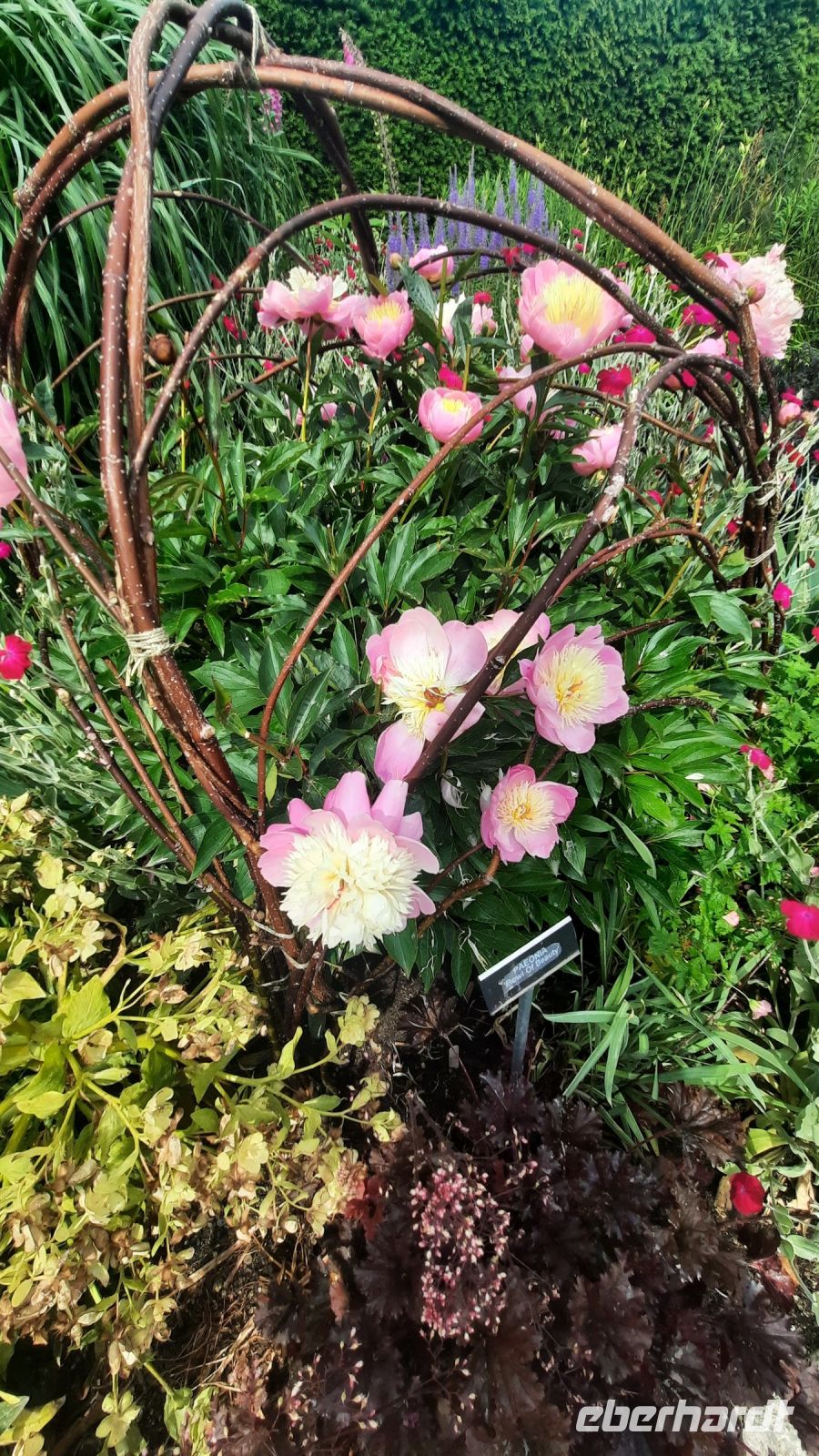 276 – Irland, Powerscourt Gardens