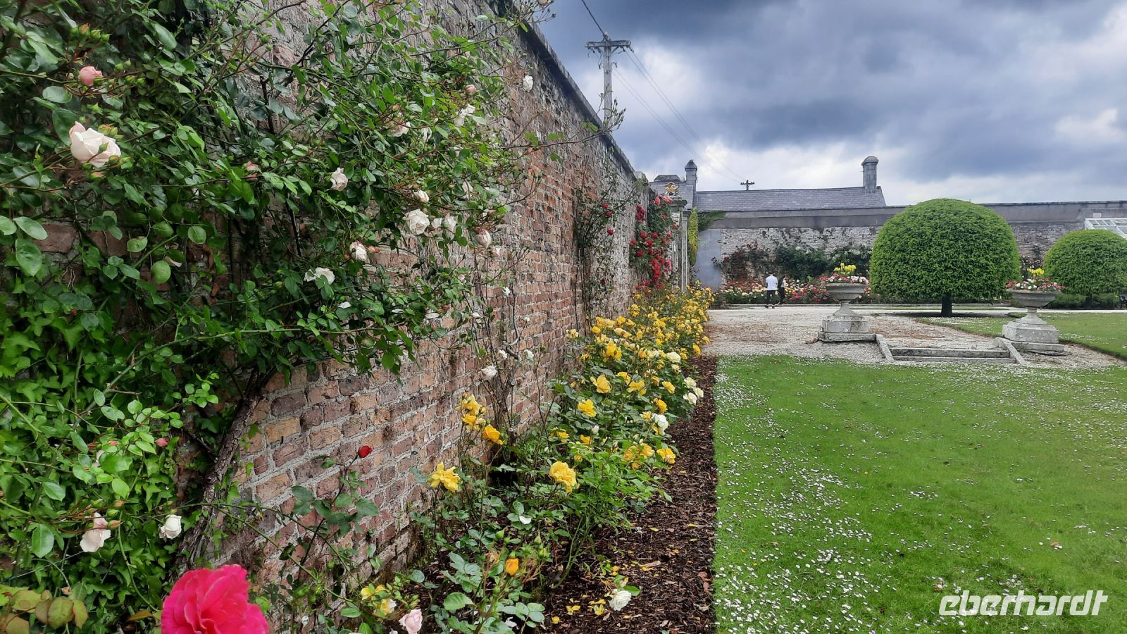 282 – Irland, Powerscourt Gardens