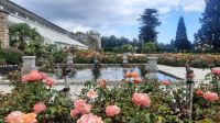 290 – Irland, Powerscourt Gardens