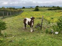 4. Tag – Gräberfeld von Carrowmore