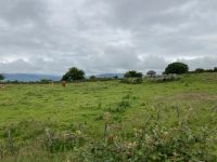 4. Tag – Gräberfeld von Carrowmore