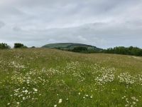 4. Tag – Gräberfeld von Carrowmore – Blick zum Knocknarea