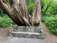 4. Tag – Spaziergang im Coole Park