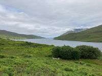 5. Tag – Fotostopp am Killary Harbour