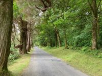 5. Tag – Kylemore Abbey