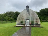 8. Tag – Ring of Kerry – Muckross House and Gardens