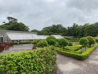 8. Tag – Ring of Kerry – Muckross House and Gardens