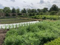 10. Tag – Stadtrundfahrt durch Dublin