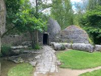 11. Tag – Irisches Nationalgestüt in Kildare