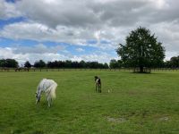 11. Tag – Irisches Nationalgestüt in Kildare