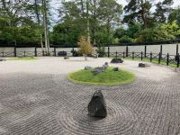 11. Tag – Irisches Nationalgestüt in Kildare – Japanischer Garten