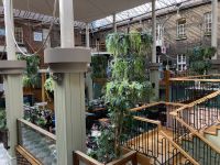 1. Tag – Stadtrundgang durch Dublin – Powerscourt Townhouse