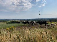 2. Tag – Hill of Slane