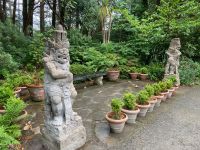 3. Tag – Wanderung im Glenveagh-Nationalpark