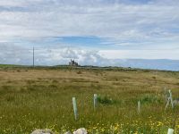 5. Tag – Küstenwanderung zum Mullaghmore Head