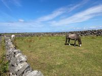 6. Tag – Wanderung auf Inishmore