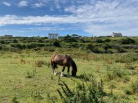 6. Tag – Wanderung auf Inishmore