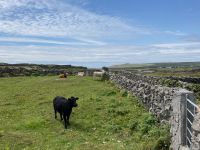 6. Tag – Wanderung auf Inishmore