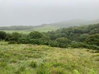 7. Tag – Wanderung im Connemara-Nationalpark